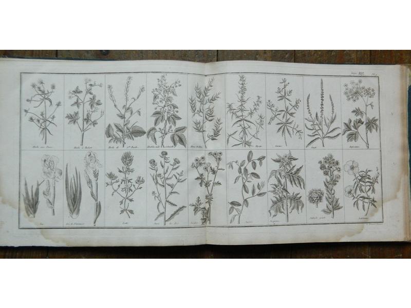 ALEXANDRE (Dom Nicolas) : Dictionnaire botanique...